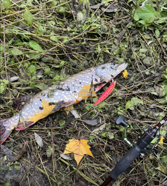 Воблер  Morethan X-Cross 120SSR